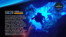 26273_20540