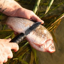 Image_3002520_5000998